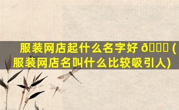 服装网店起什么名字好 🐕 (服装网店名叫什么比较吸引人)